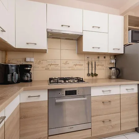 Okolna Cozy Remote Work By Renters Appartamento Cracovia