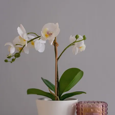 Okolna Cozy Remote Work By Renters *